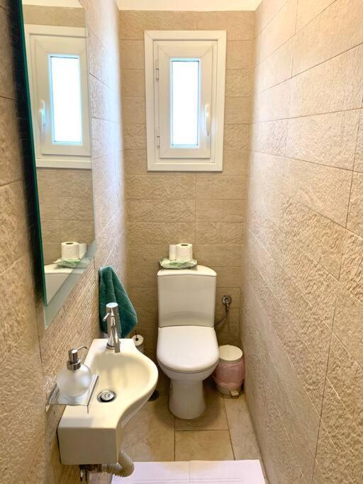 Spacious 4-Bedroom Family Home, 100M From Metro Athens Ngoại thất bức ảnh