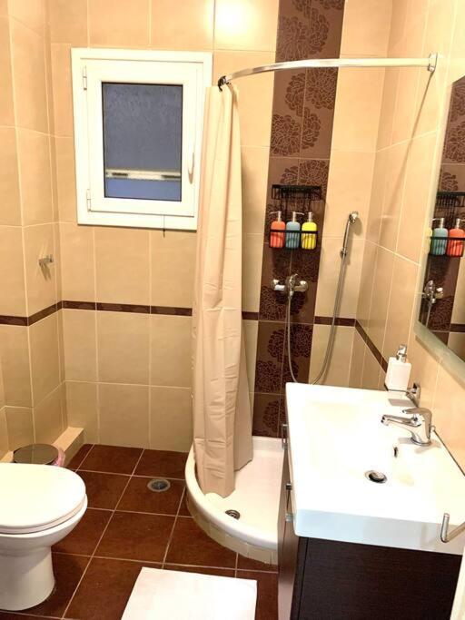 Spacious 4-Bedroom Family Home, 100M From Metro Athens Ngoại thất bức ảnh